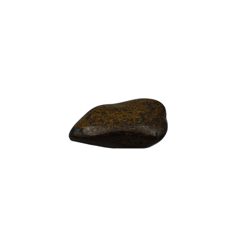 Bronzite