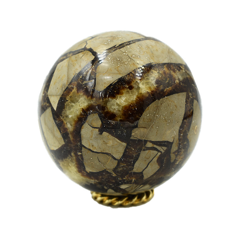 Sfera in Septaria