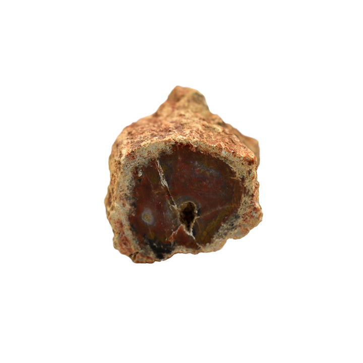 Legno fossile grezzo
