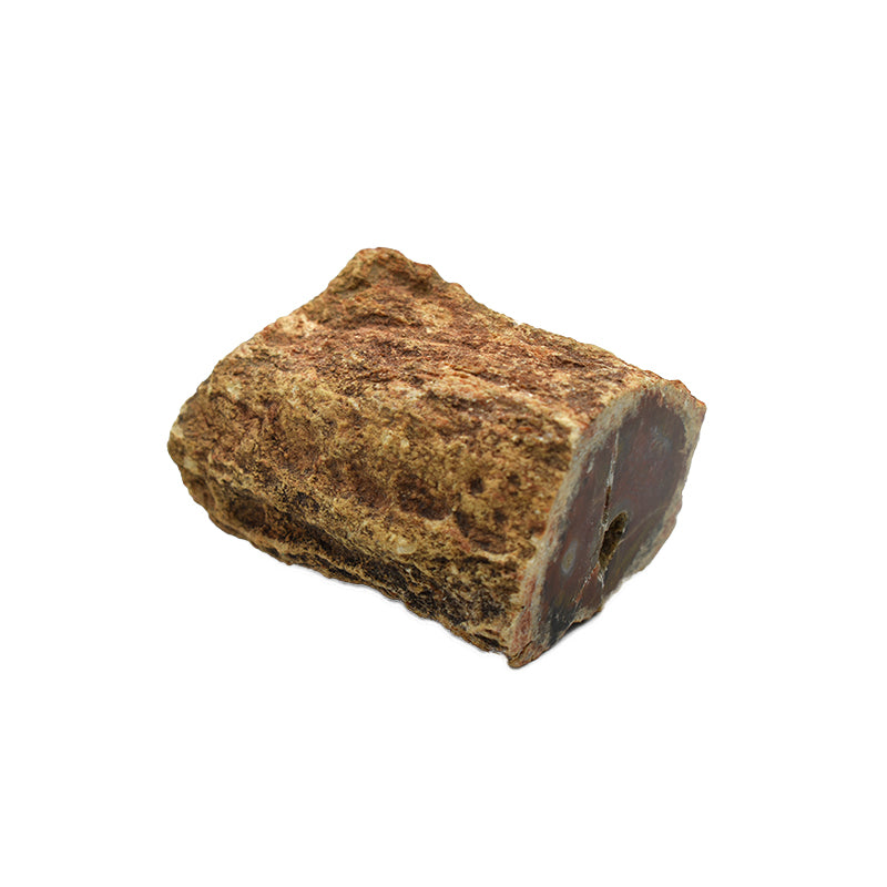 Legno fossile grezzo