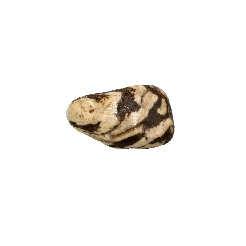 Diaspro Zebra