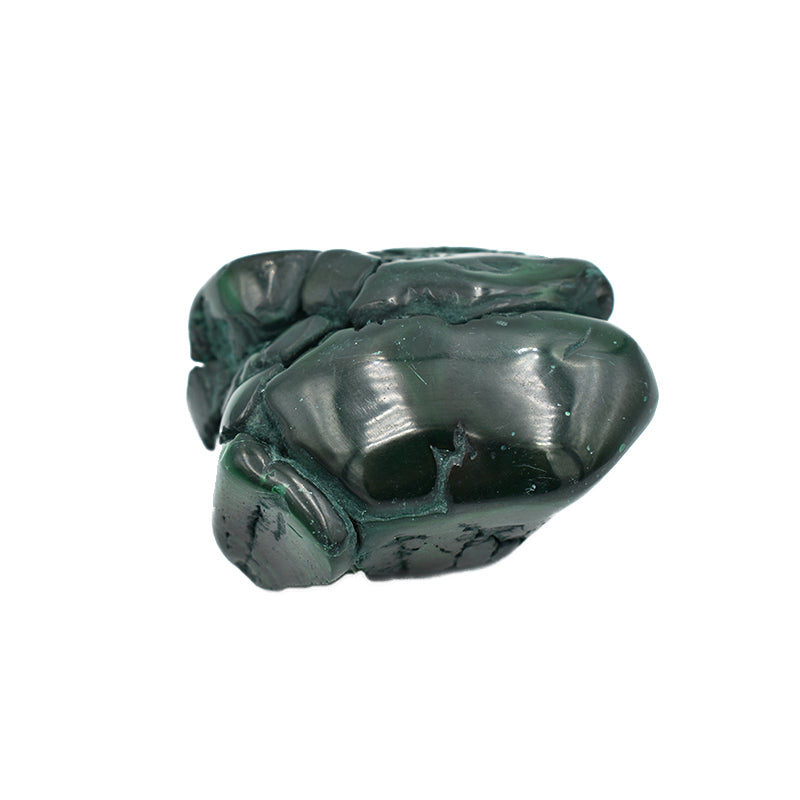 Malachite burattata