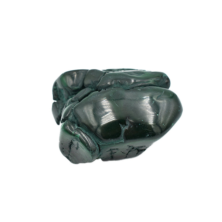 Malachite burattata