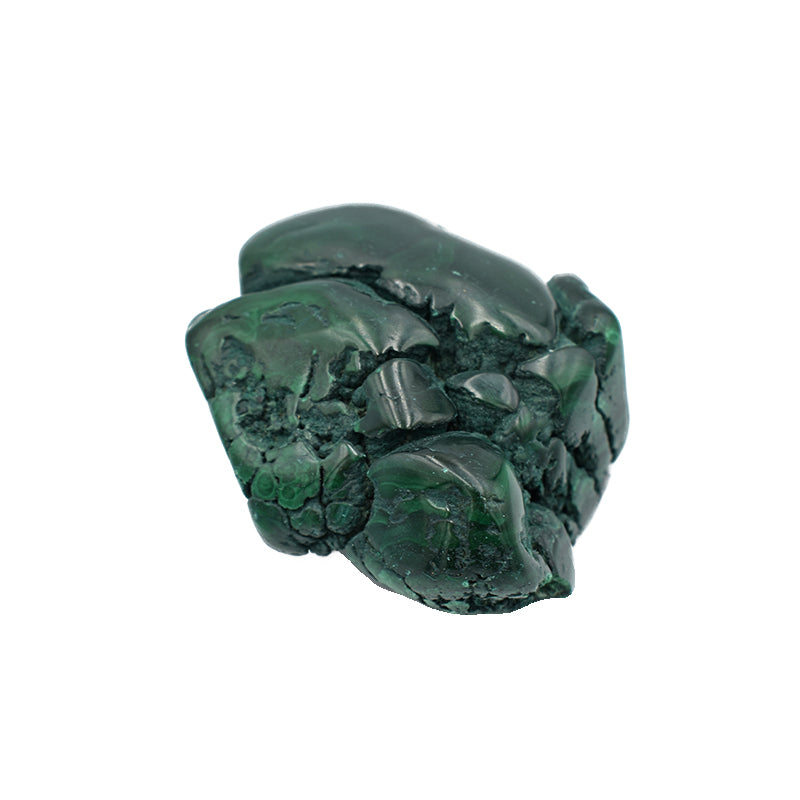 Malachite burattata