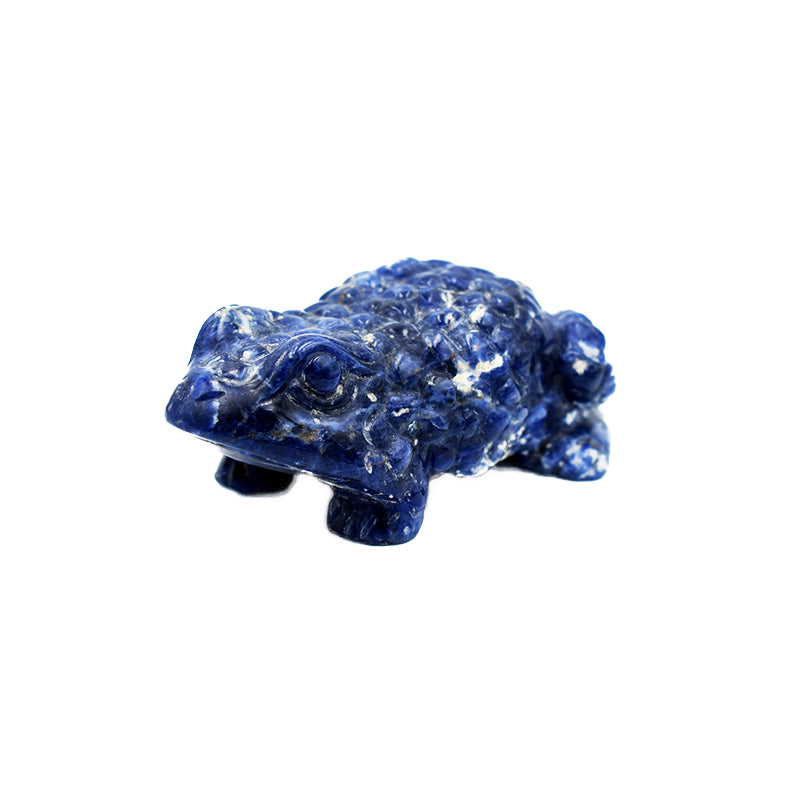Ramarro in Sodalite