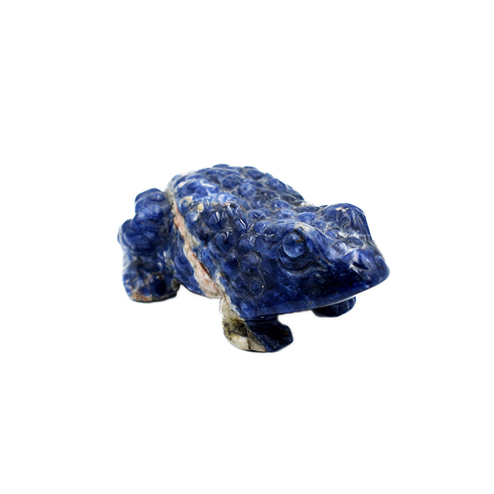 Ramarro in Sodalite