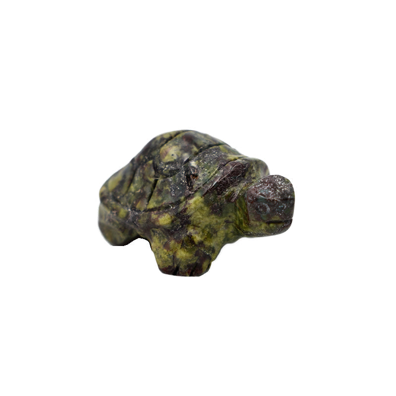 Tartaruga in Dragon Stone