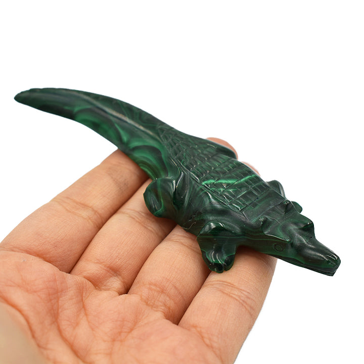Coccodrillo in Malachite