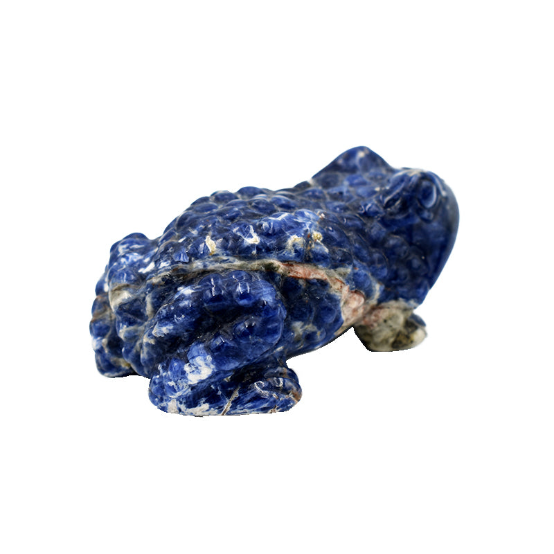 Ramarro in Sodalite