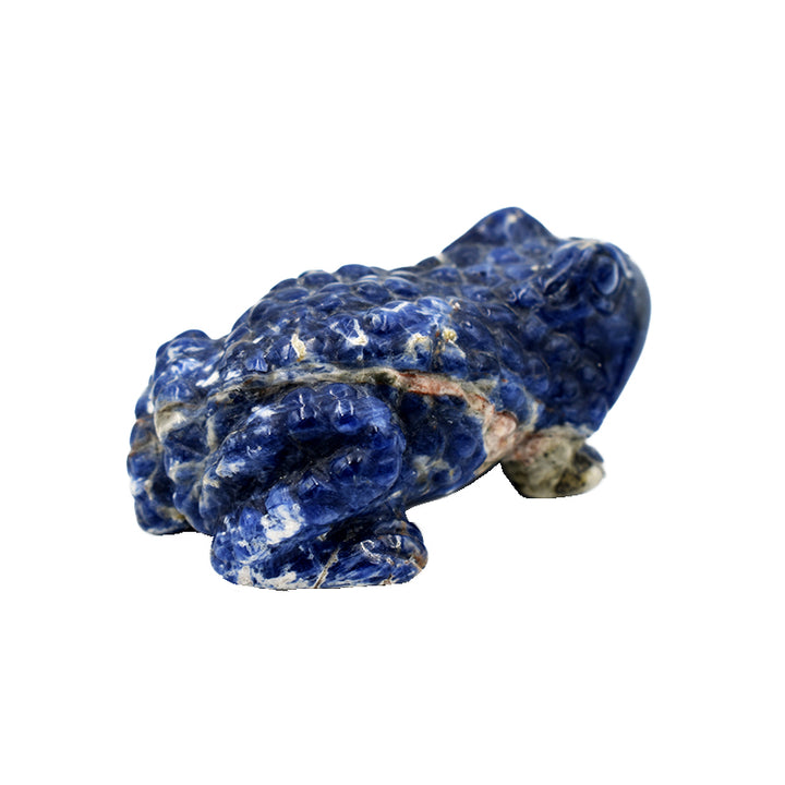 Ramarro in Sodalite