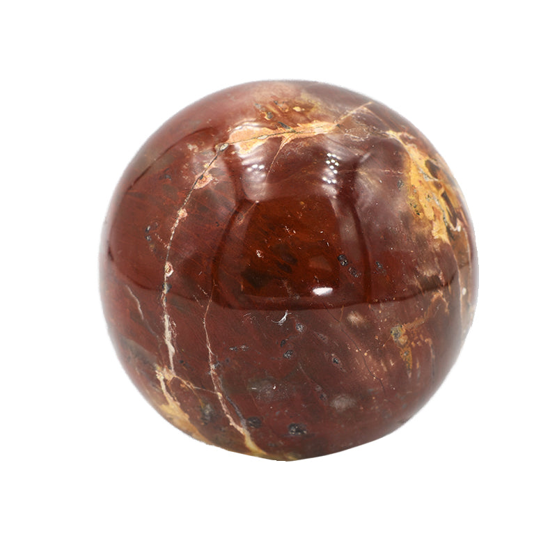 Sfera in Legno Fossile