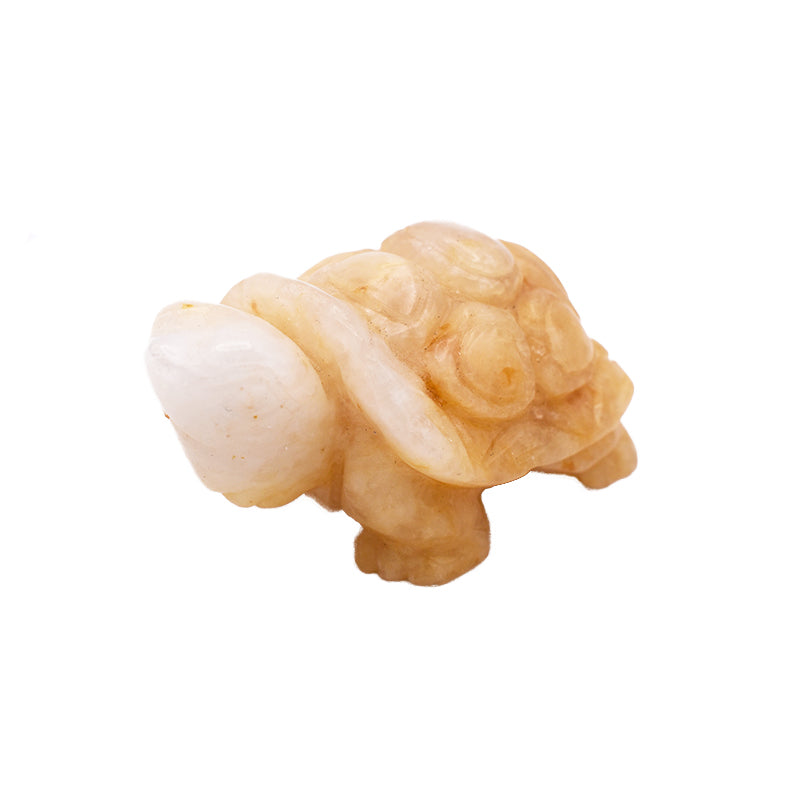 Tartaruga in Calcite Gialla