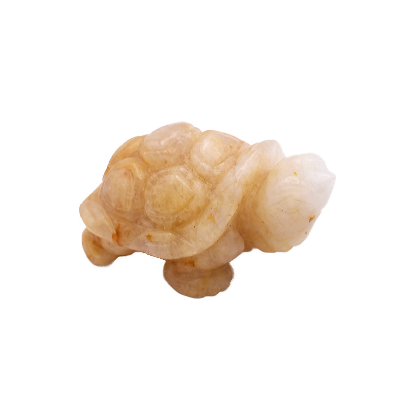 Tartaruga in Calcite Gialla