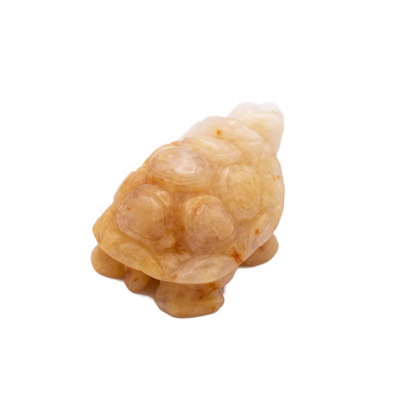 Tartaruga in Calcite Gialla