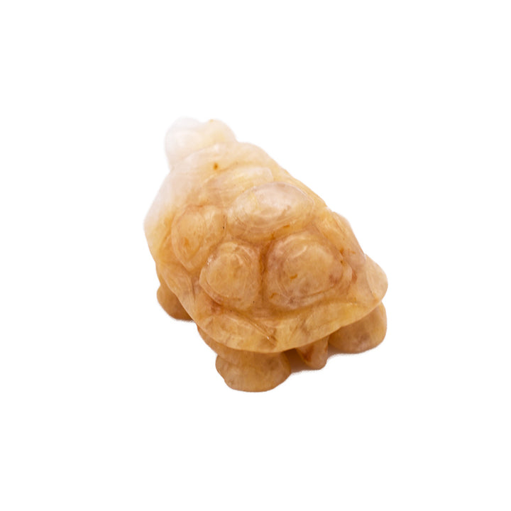 Tartaruga in Calcite Gialla