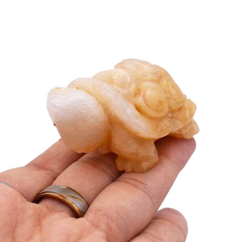 Tartaruga in Calcite Gialla