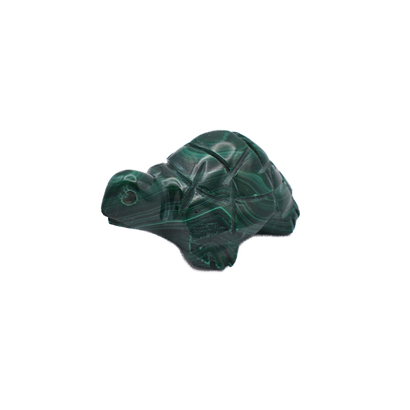 Tartaruga in Malachite
