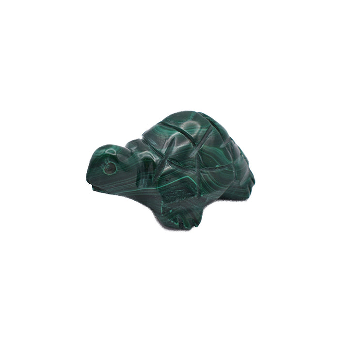 Tartaruga in Malachite