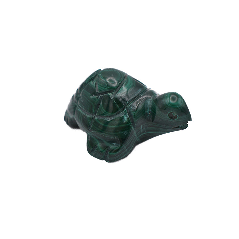 Tartaruga in Malachite