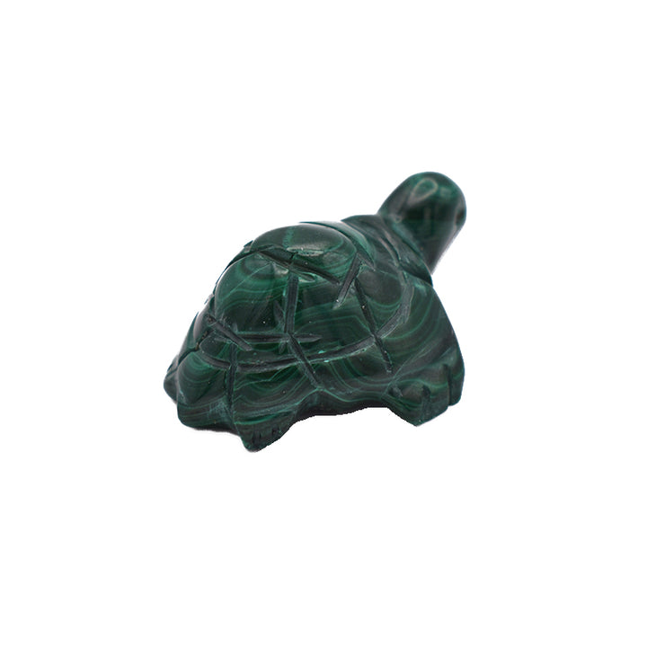 Tartaruga in Malachite