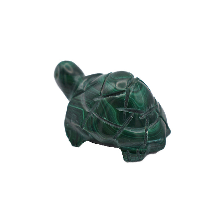 Tartaruga in Malachite