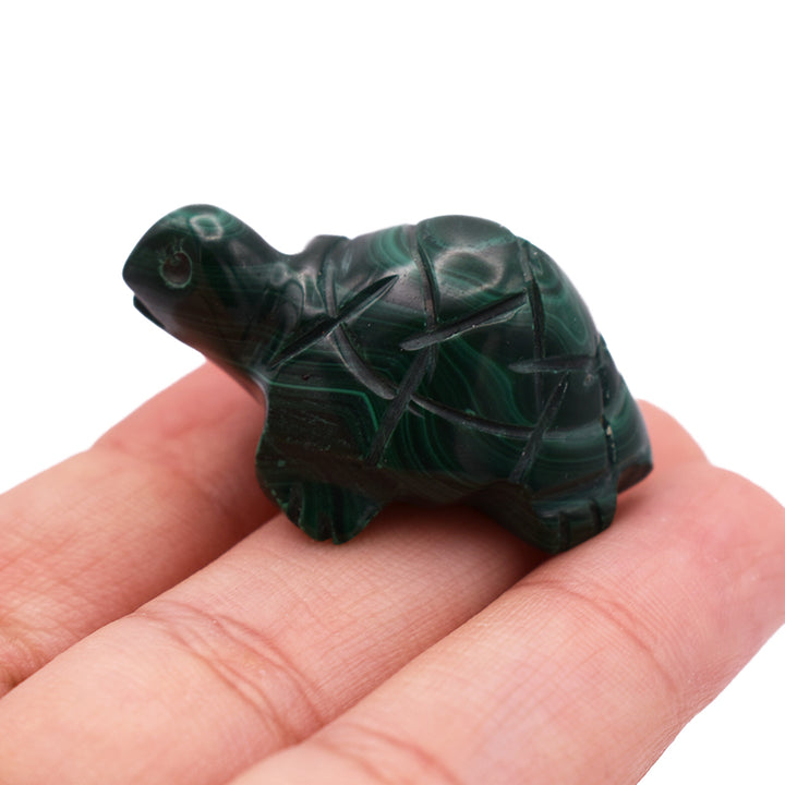 Tartaruga in Malachite