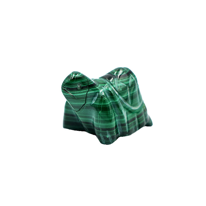 Tartaruga in Malachite