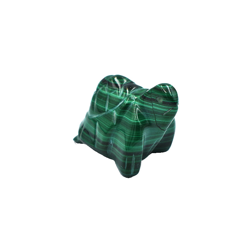 Tartaruga in Malachite
