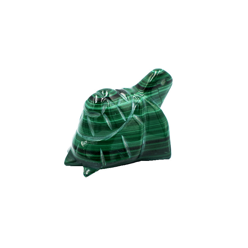 Tartaruga in Malachite