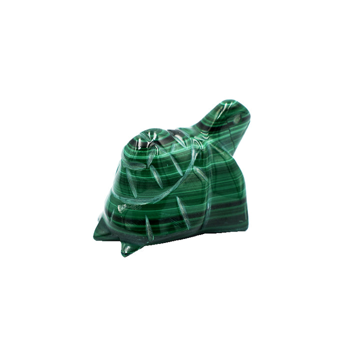 Tartaruga in Malachite