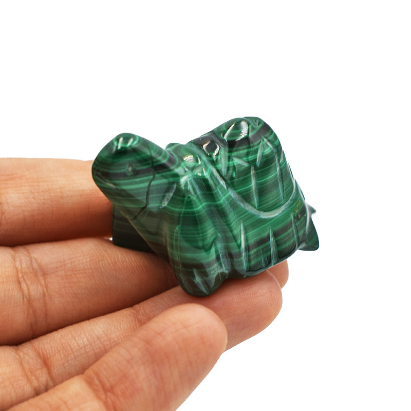 Tartaruga in Malachite