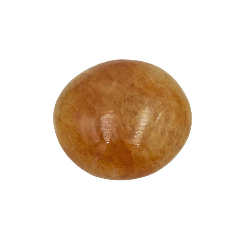 Saponetta in Golden Healer