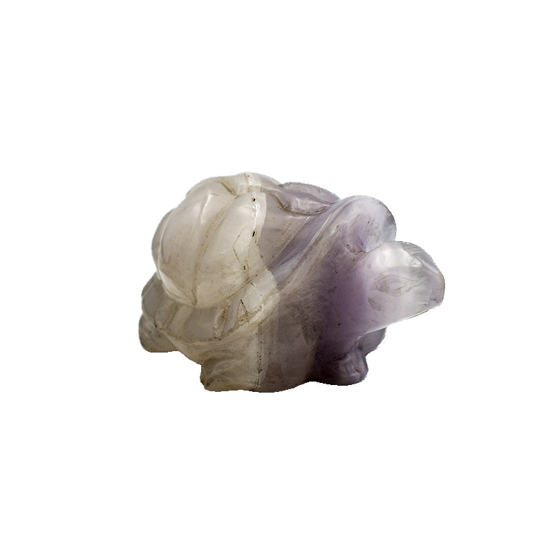 Tartaruga in Fluorite Bianca