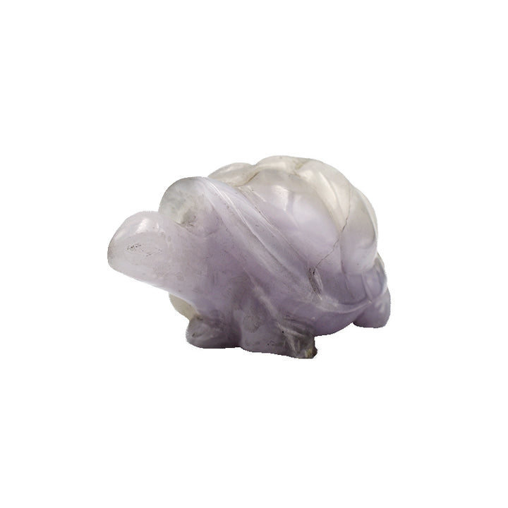 Tartaruga in Fluorite Bianca
