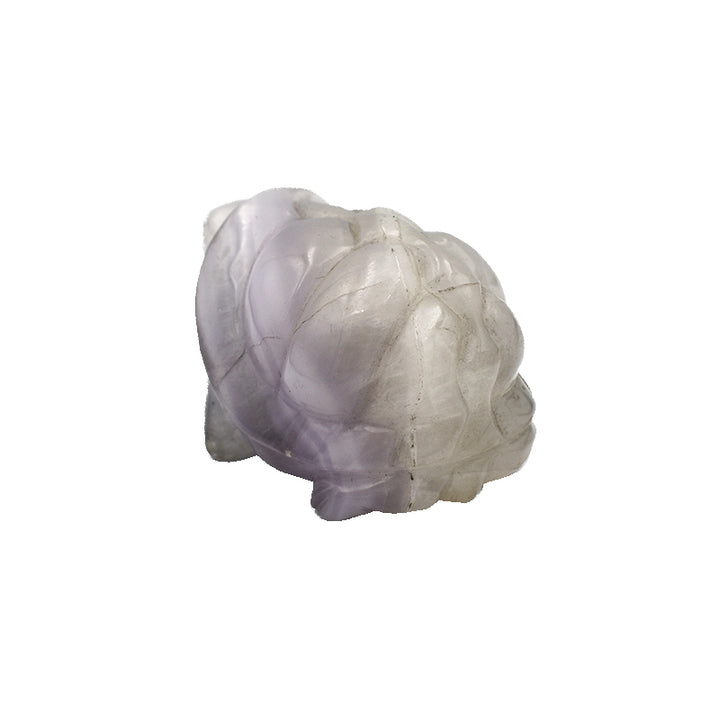 Tartaruga in Fluorite Bianca