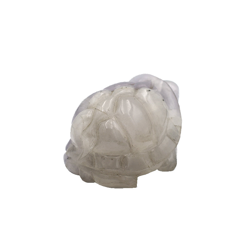Tartaruga in Fluorite Bianca