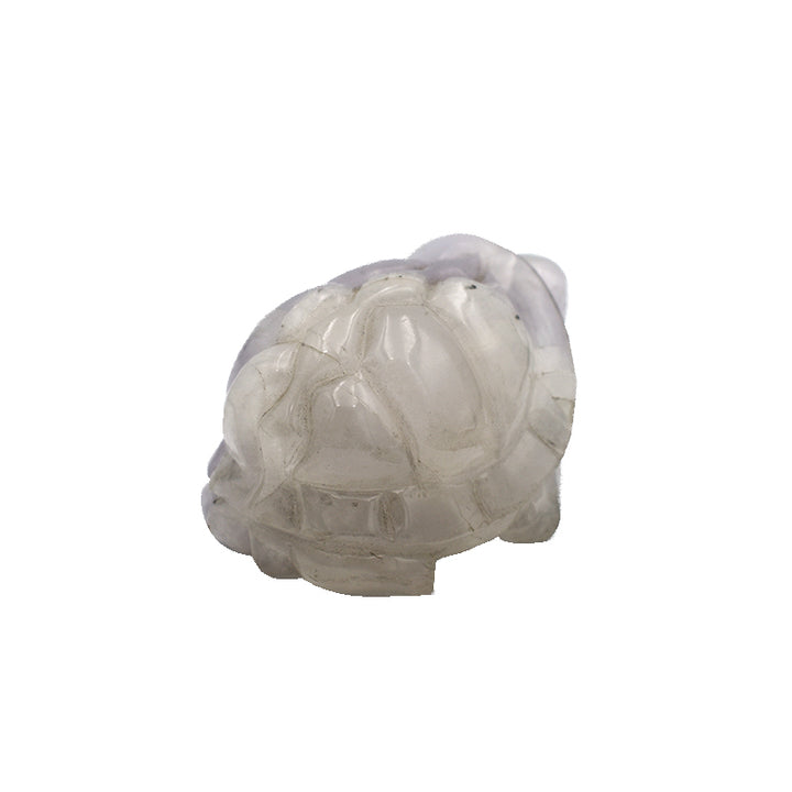 Tartaruga in Fluorite Bianca