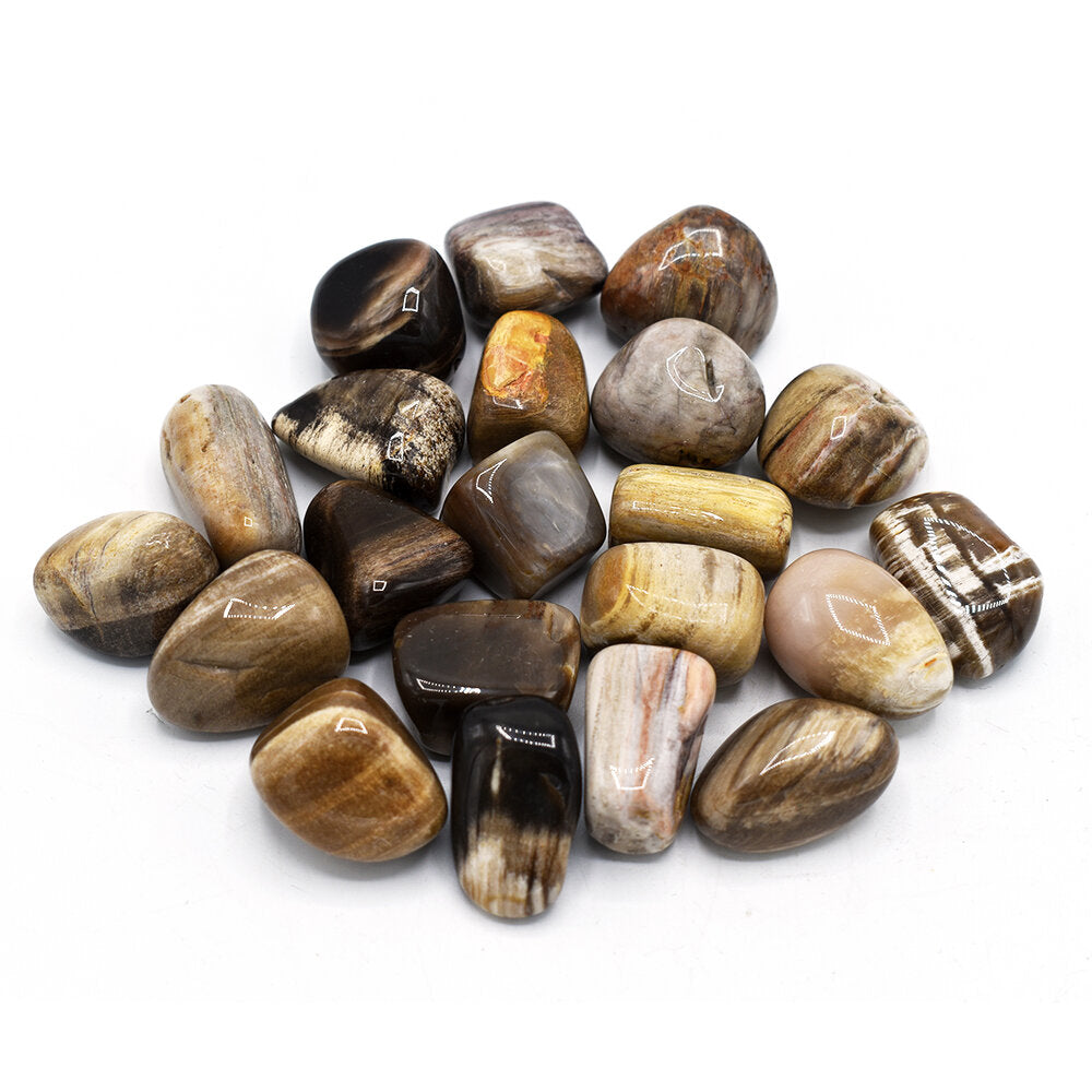 Legno fossile (burattato)