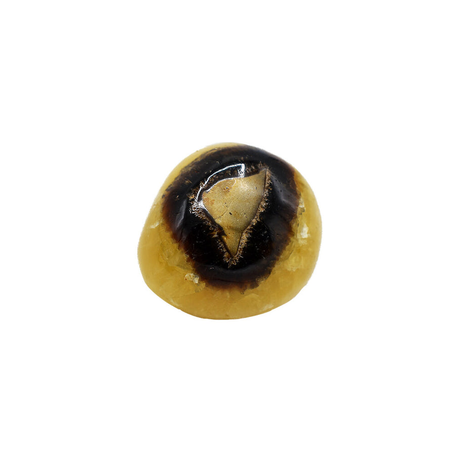 Septaria