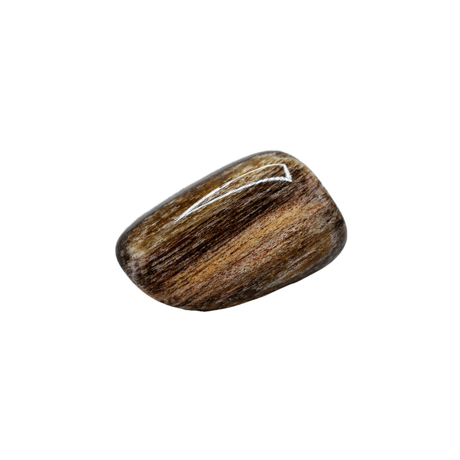 Legno fossile (burattato)