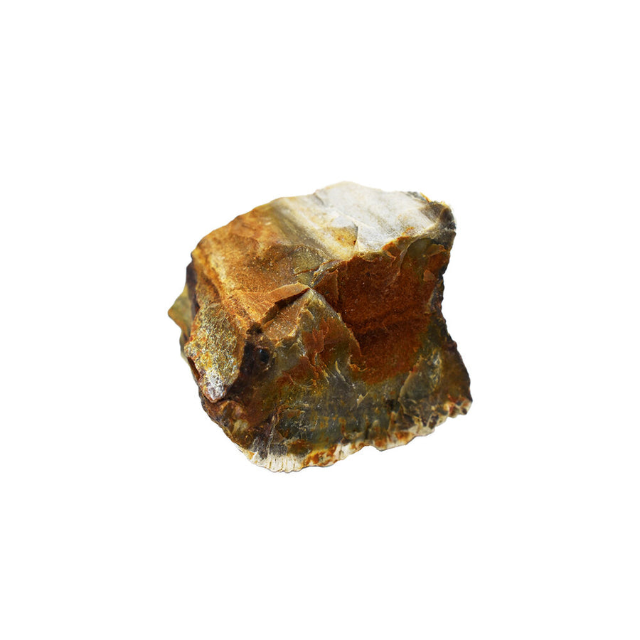 Legno fossile grezzo