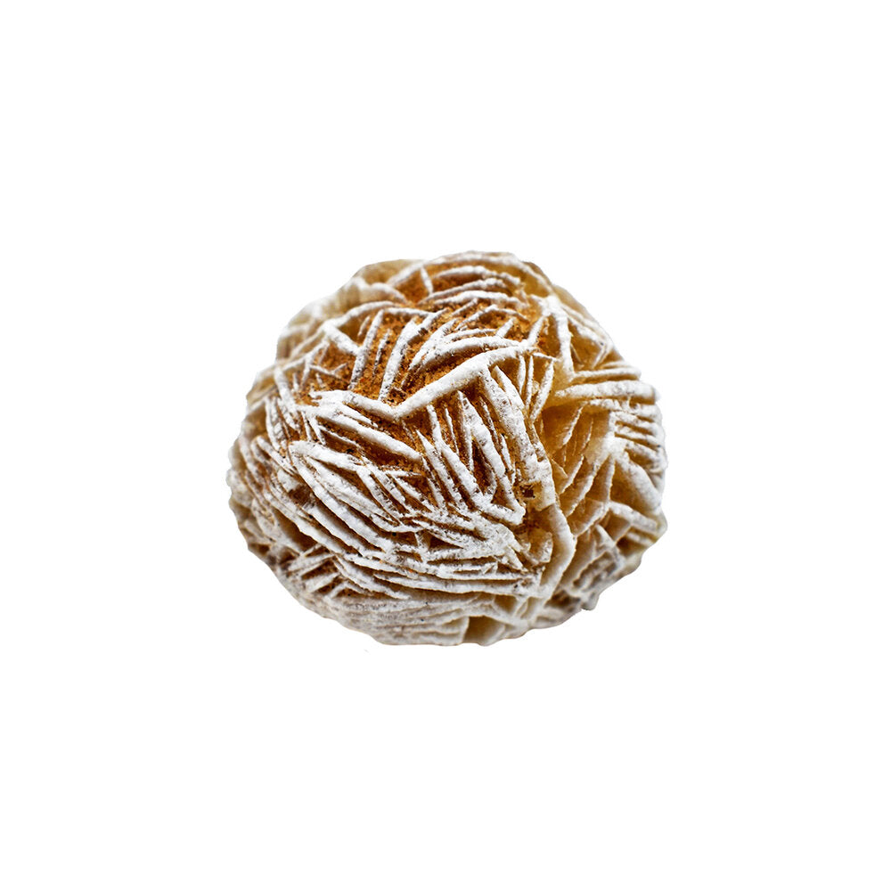 Rosa del deserto messicana