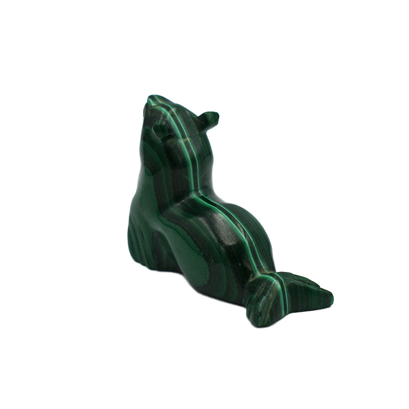 Foca in Malachite