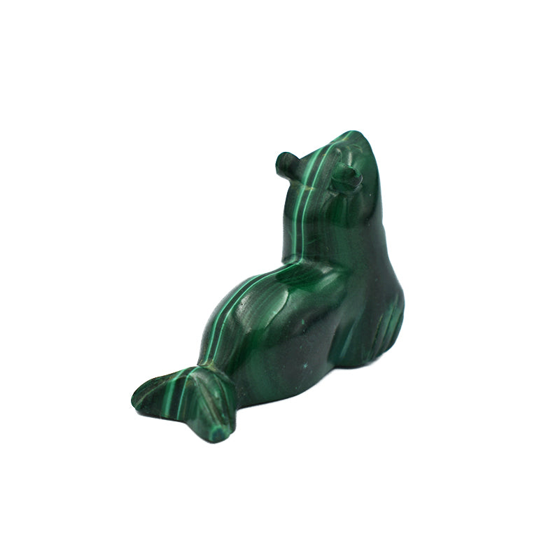 Foca in Malachite