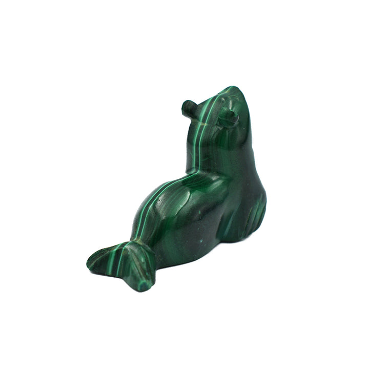 Foca in Malachite