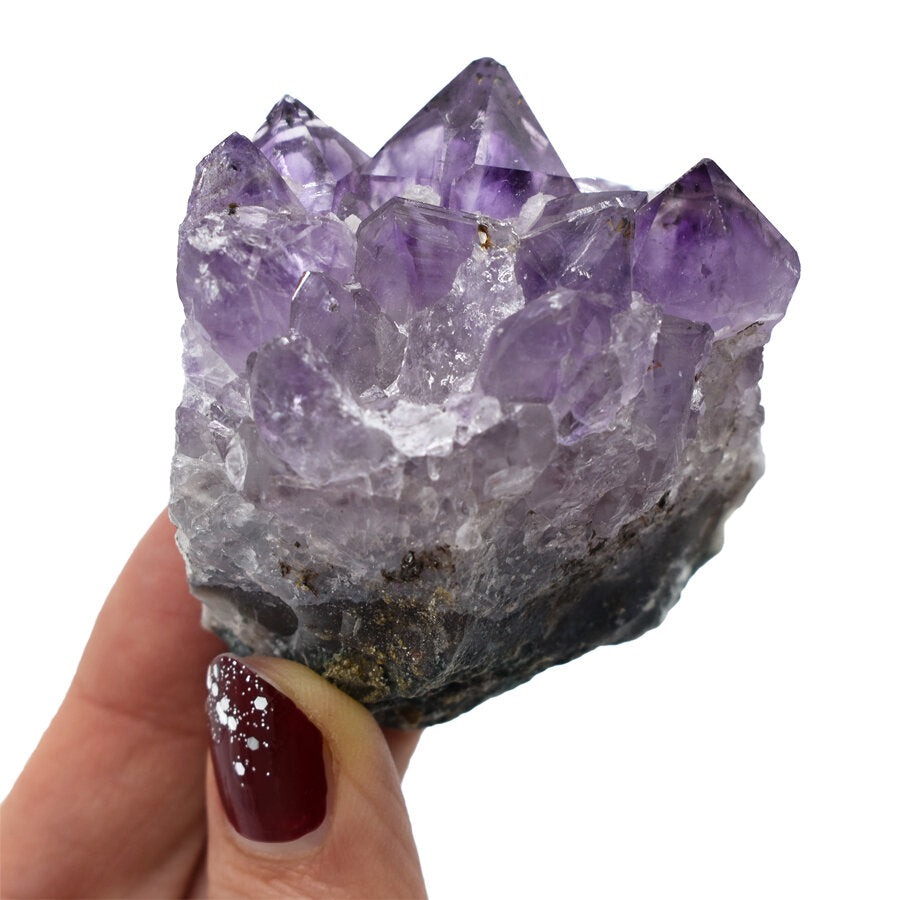 Drusa di Quarzo Ametista