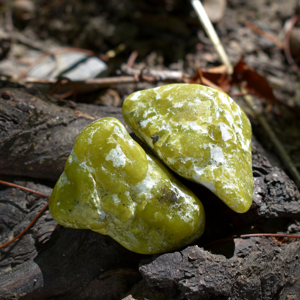 Lizardite burattata